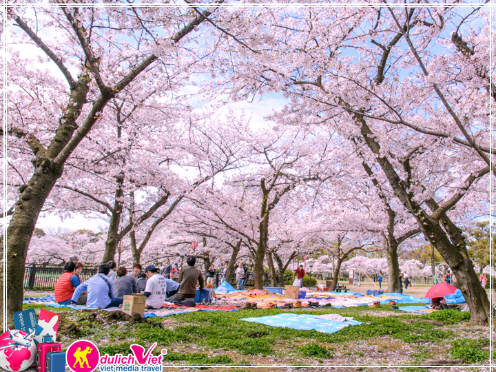 Du lịch Nhật Bản ngắm hoa Anh Đào công viên Ueno giá tốt 2018